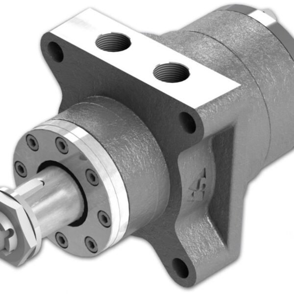 Orbital motors M+S RW series